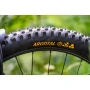 Continental Argotal Trail Endurance 29 x 2.4'' / 622 x 60 mm coil tire